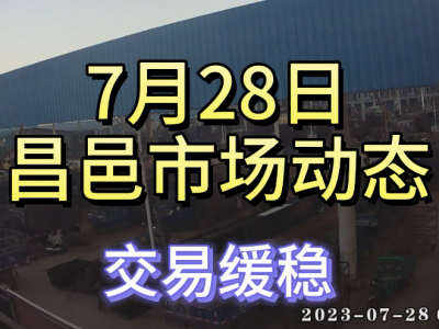 7月28日 昌邑生姜交易實況（交易緩穩） (4214播放)