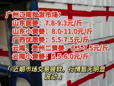 7月29日廣州江南批發(fā)市場價格 (4210播放)