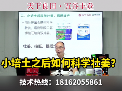 小培土之后如何科學壯姜？ ()