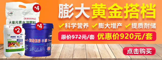 膨大黃金搭檔