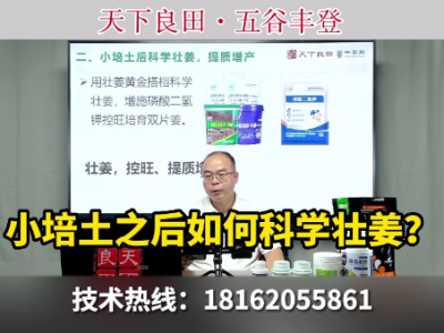 小培土之后如何科學(xué)壯姜？ ()