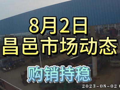 8月2日 昌邑生姜交易實況（購銷持穩(wěn)） (4253播放)