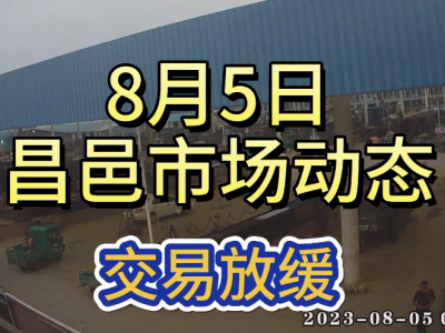 8月5日 昌邑生姜交易實況（交易放緩） (4504播放)