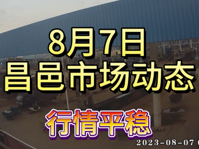 8月7日 昌邑生姜交易實況（行情平穩(wěn)） (4254播放)