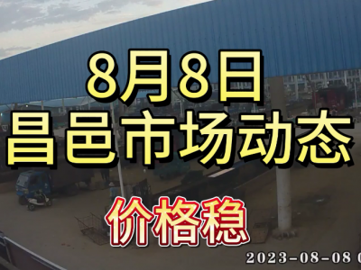 8月8日 昌邑生姜交易實況（價格穩(wěn)） (4289播放)