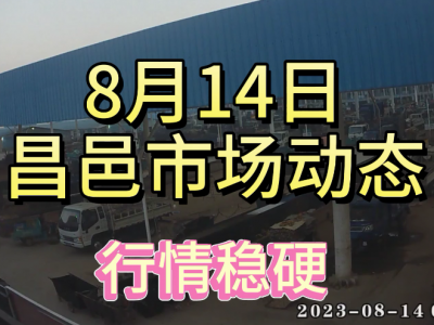 8月14日 昌邑生姜交易實況（行情穩(wěn)硬） (4308播放)