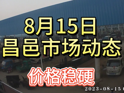 8月15日 昌邑生姜交易實況（價格穩(wěn)硬） (4299播放)