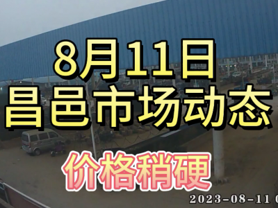 8月11日 昌邑生姜交易實況（價格稍硬） (4296播放)
