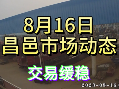 8月16日 昌邑生姜交易實況（交易緩穩(wěn)） (4320播放)