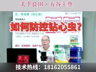 如何防控鉆心蟲？ ()