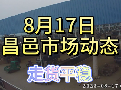 8月17日 昌邑生姜交易實況（走貨平穩(wěn)） (4506播放)