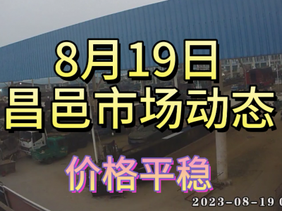 8月19日 昌邑生姜交易實況（價格平穩） (4353播放)