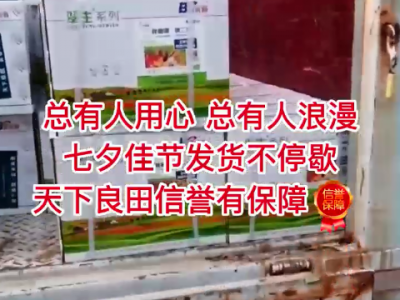 七夕佳節發貨不停歇 ()