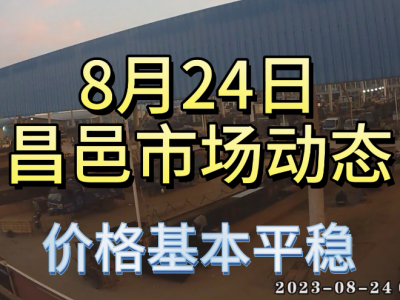 8月24日 昌邑生姜交易實況（價格平穩） (4368播放)
