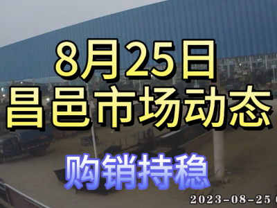 8月25日 昌邑生姜交易實況（購銷持穩(wěn)） (4445播放)