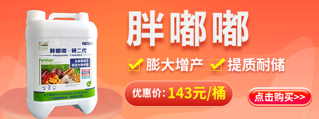 胖嘟嘟