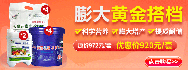 膨大黃金搭檔