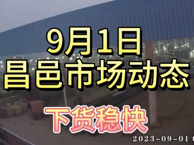 9月1日 昌邑生姜交易實況（下貨穩快） (4429播放)