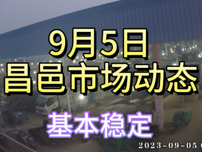 9月5日 昌邑生姜交易實況（基本穩定） (4449播放)