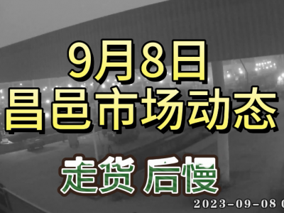 9月8日 昌邑生姜交易實況（先快后慢） (4483播放)