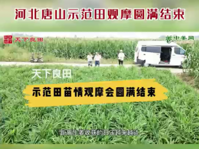 河北唐山示范田觀摩圓滿結束 (4418播放)