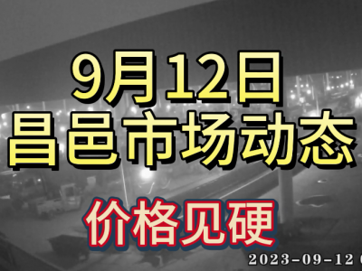 9月12日 昌邑生姜交易實況（價格見硬） (4489播放)