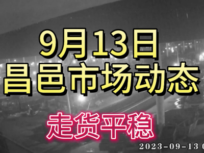 9月13日 昌邑生姜交易實況（走貨平穩） (4474播放)