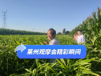 萊州觀摩會(huì)精彩瞬間 (4452播放)