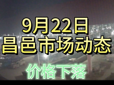 9月22日 昌邑生姜交易實況（價格下落） (4561播放)
