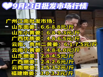 9月23日廣州江南批發(fā)市場生姜價格行情 (4441播放)