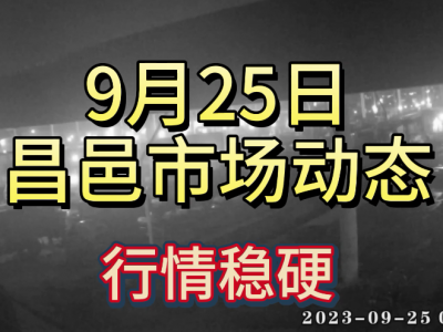9月25日 昌邑生姜交易實況（行情穩(wěn)硬） (4577播放)