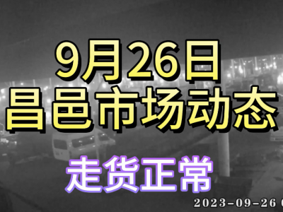 9月26日 昌邑生姜交易實況（走貨正常） (4572播放)