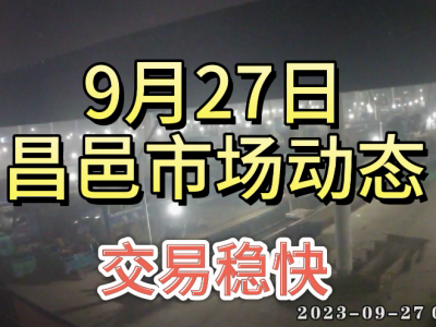 9月27日 昌邑生姜交易實況（交易穩(wěn)快） (4591播放)