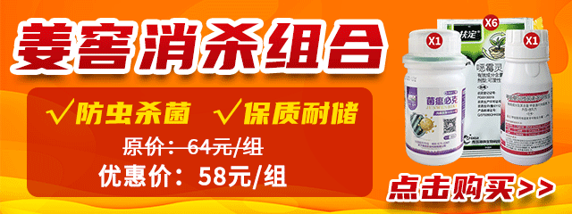 姜窖消殺