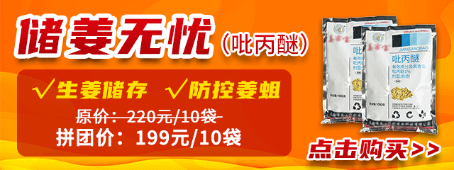 儲姜無憂(1)