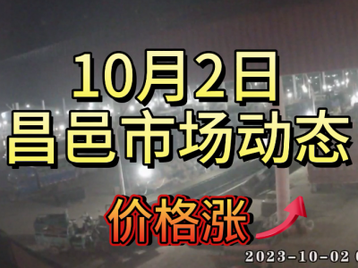 10月2日 昌邑生姜交易實況（價格漲） (4600播放)