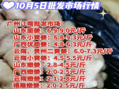 10月5日廣州江南批發(fā)市場生姜價格行情 (4431播放)