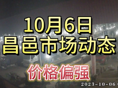 10月6日 昌邑生姜交易實況（價格偏強） (4632播放)