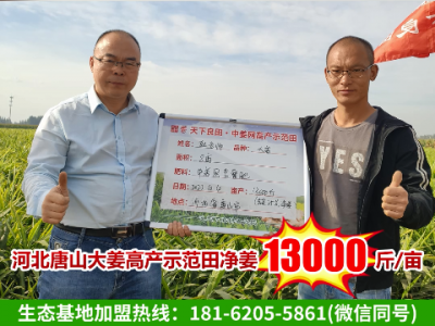 天下良田·中姜網河北、遼寧基地測產 (4470播放)