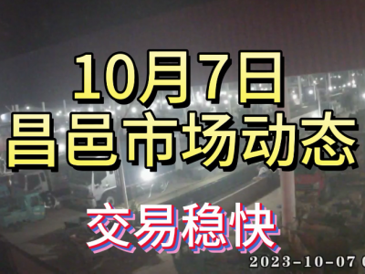 10月7日 昌邑生姜交易實況（交易穩(wěn)快） (4647播放)