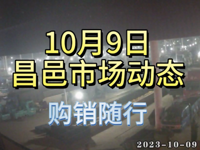 10月9日 昌邑生姜交易實況（購銷隨行） (4666播放)