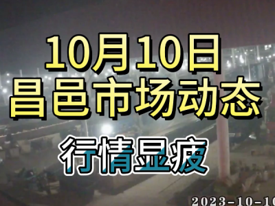 10月10日 昌邑生姜交易實況（行情顯疲） (4669播放)