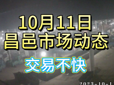 10月11日 昌邑生姜交易實況（交易不快） (4660播放)