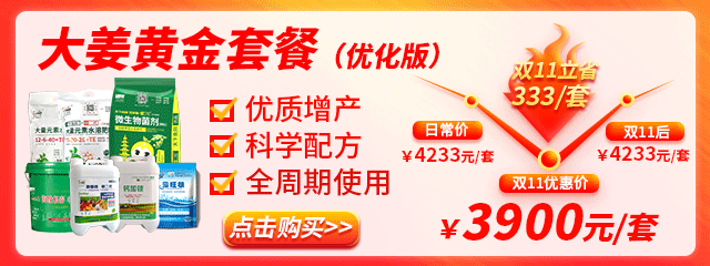 大姜黃金
