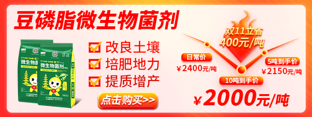 豆磷脂-2