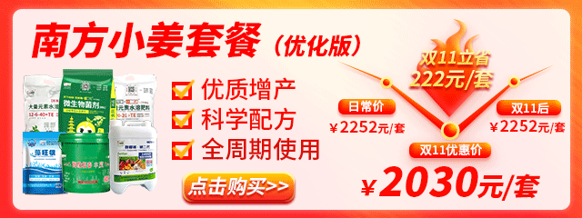 南方小姜
