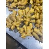 生姜大蒜產(chǎn)地合作社