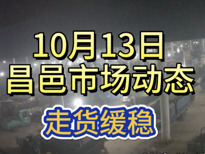 10月13日 昌邑生姜交易實況（走貨緩穩） (4671播放)