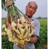 代存入庫實力配資