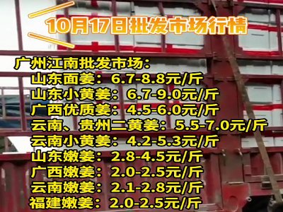 10月17日廣州江南批發(fā)市場生姜價格行情 (4452播放)